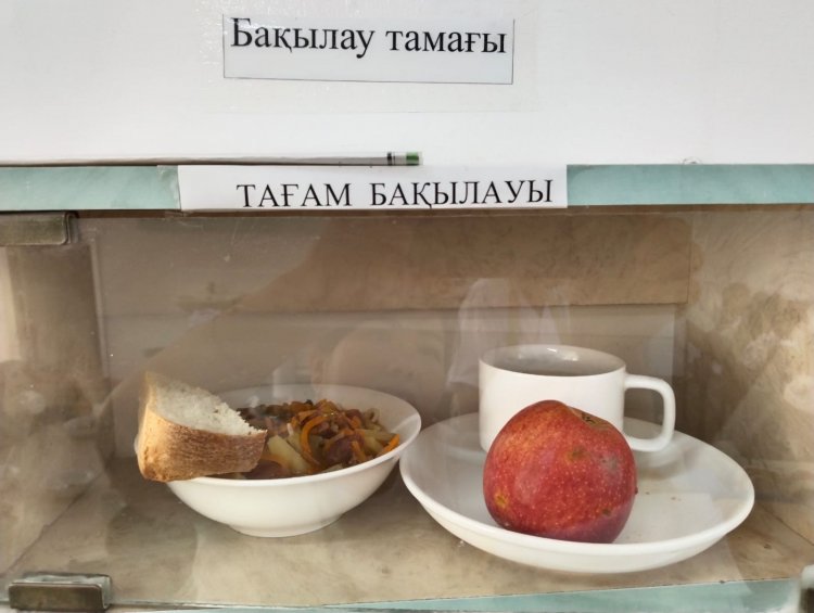 Бақылау тамағы