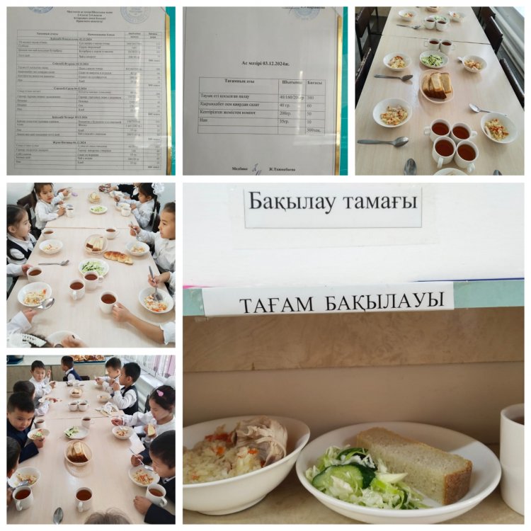 Тамақтандыру